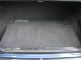W 124 300 CE - 24V