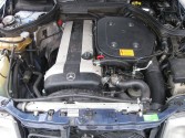 W 124 300 CE - 24V